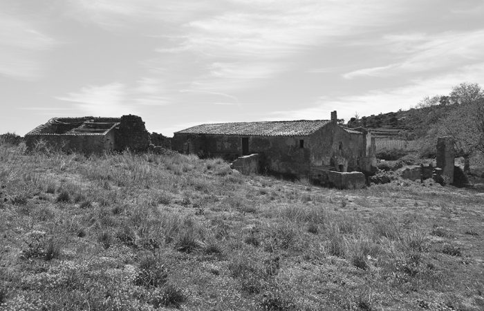 Proposal for a new winery